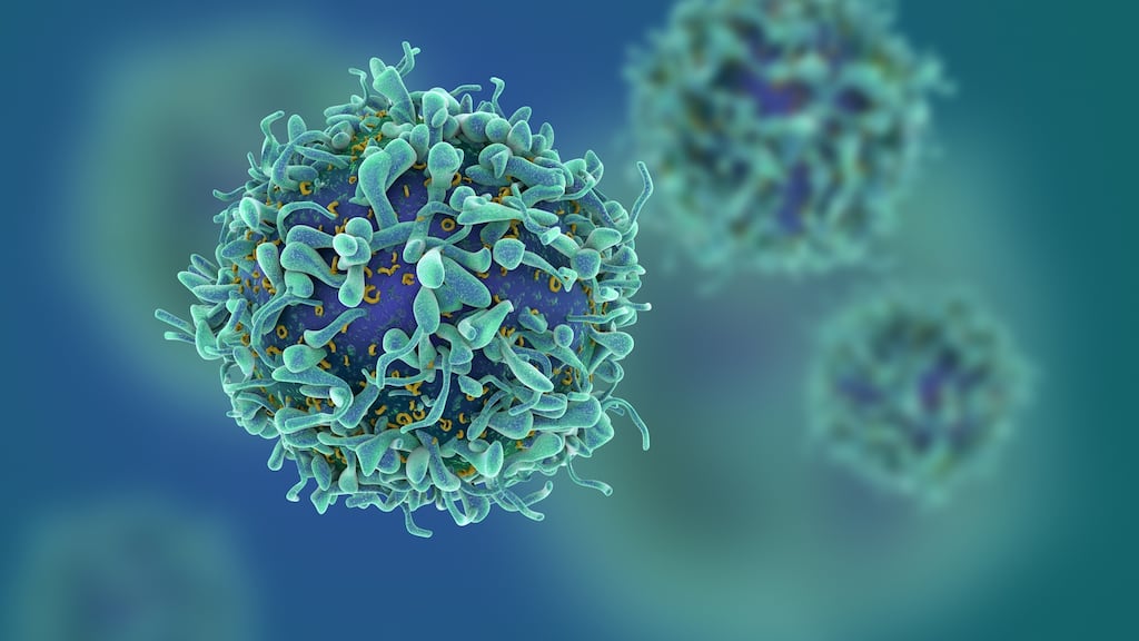 Thousands of weaknesses known as ‘Achilles heels’ have been identified in more than 700 different cancer cell types by researchers at Queen’s University Belfast.