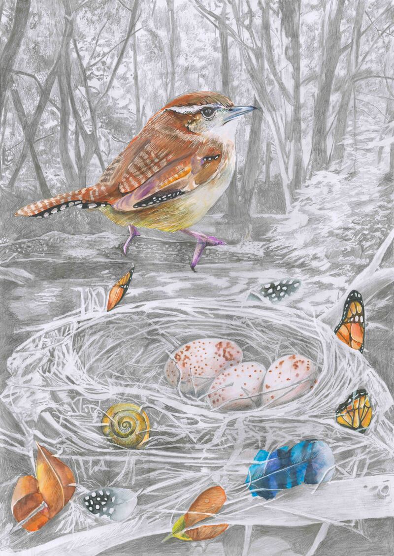 First prize in category G: The Wren's Nest by James Moonan (18) of The Arthouse, Drogheda, Co Louth.