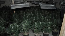 Four held over €2.5m Tuam drugs haul