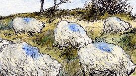 Bogged down: Bleak outlook for the west’s blanket peatlands