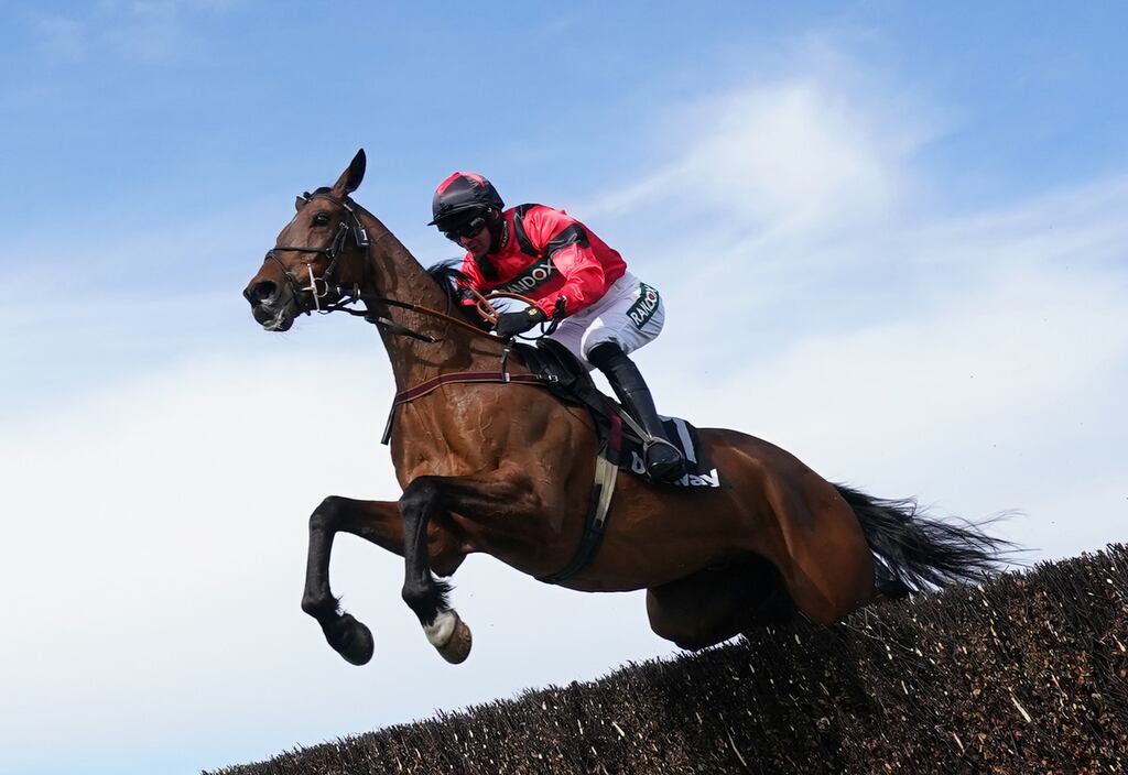 Peter Scudamore expects Ahoy Senor to be competitive in the Gold Cup. Grade One novice victories over both hurdles and fences at Aintree proved his quality and a Cotswold Chase success here in January indicated a newfound maturity. Photograph: Tim Goode/PA Wire/PA Images