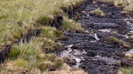 Turning bogs from wastelands to nature-scapes