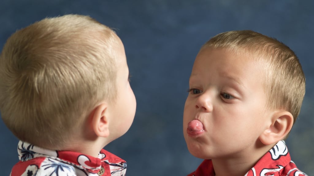 The hierarchy dynamic between twins and is very similar to the dynamic that can happen between two siblings in the same family who are close in age.