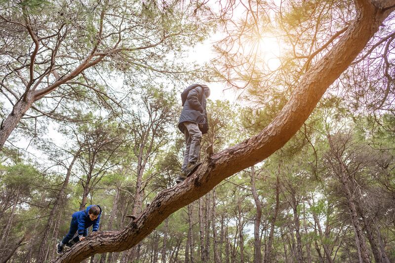 Balancing risks: perhaps we need to be reminded that more children are injured in the home than outside. Photograph: E+/iStock/Getty