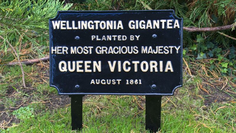 Plaque commemorating planting of tree by Queen Victoria in 1861