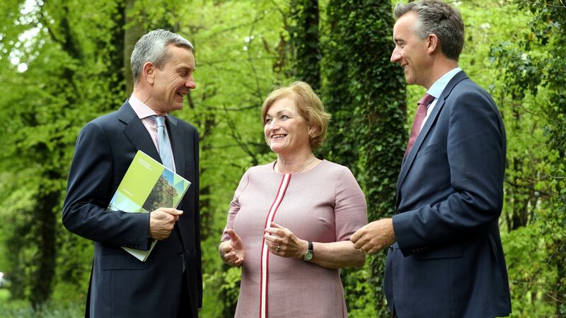 Coillte profits more than treble on wind farm gains
