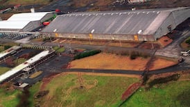 Work on €180m biomass plant  suspended