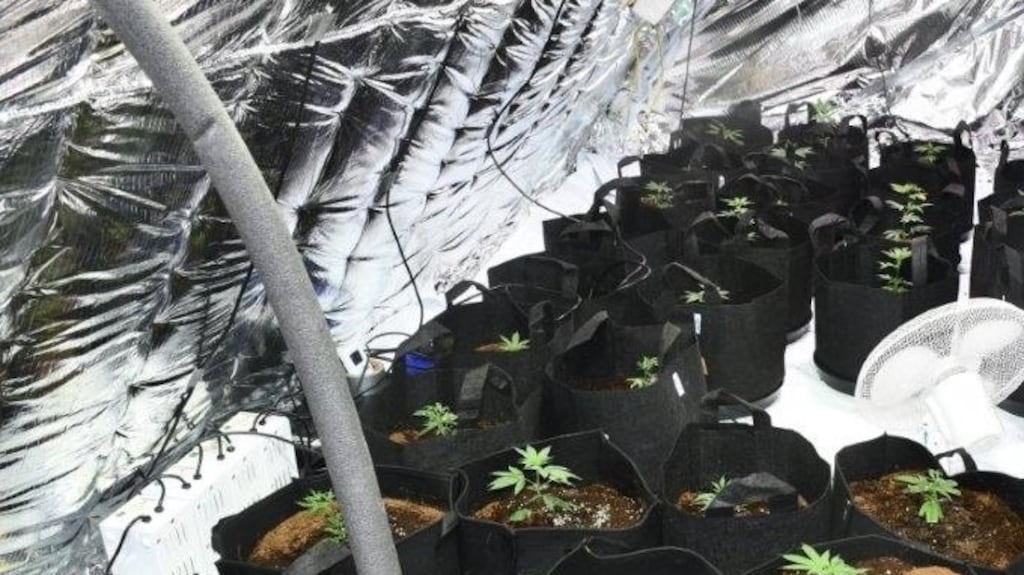 Photograph: An Garda Síochána