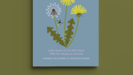 Childhood friends aim to put the wild things back in our hearts