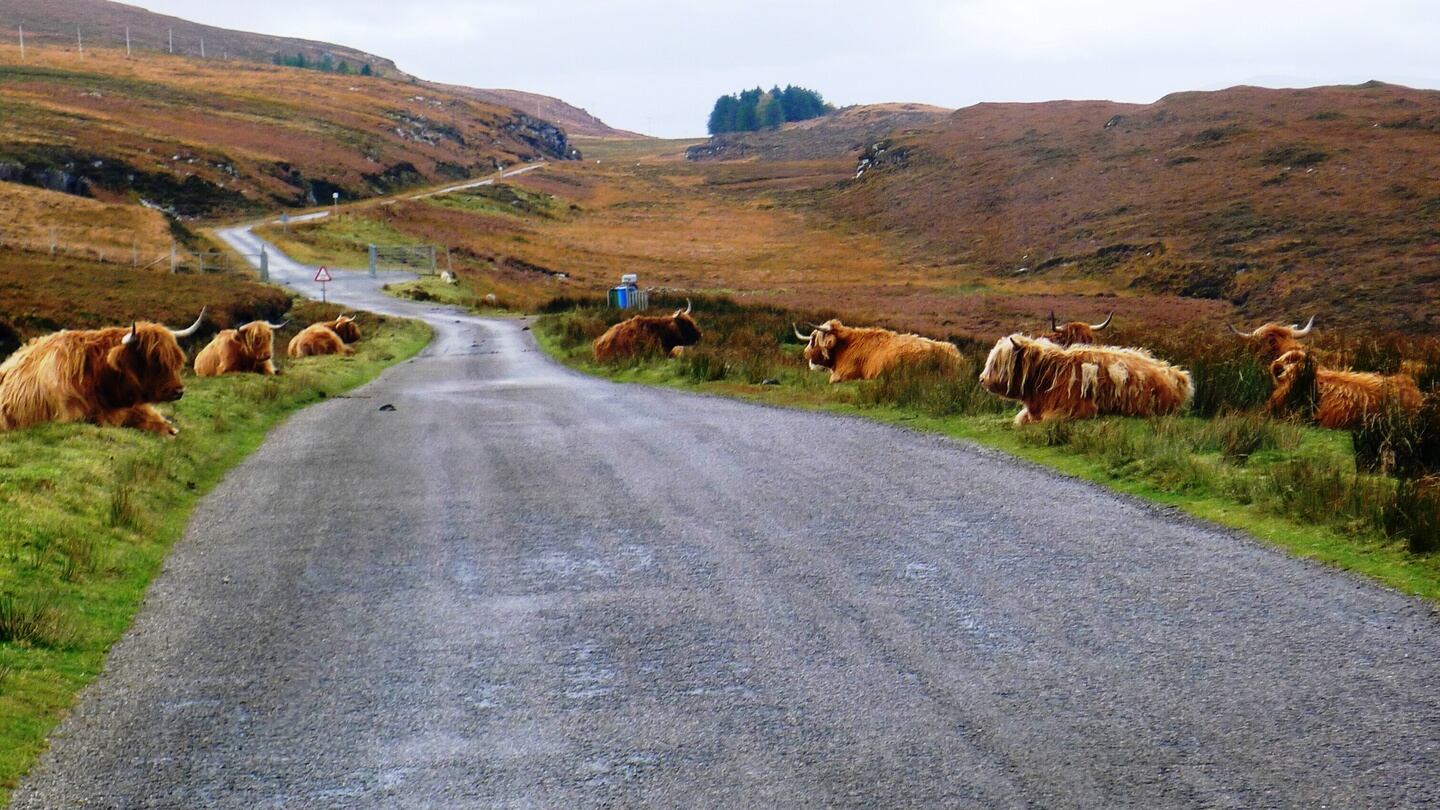 Scotland’s North Coast 500: Wild camping – if you are discreet and inquire politely – is legal and as widely available on the route as it is in rural Ireland. Photograph: Sue Mountjoy