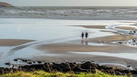 Status yellow fog warning issued for 22 counties with Christmas set to be bright and settled