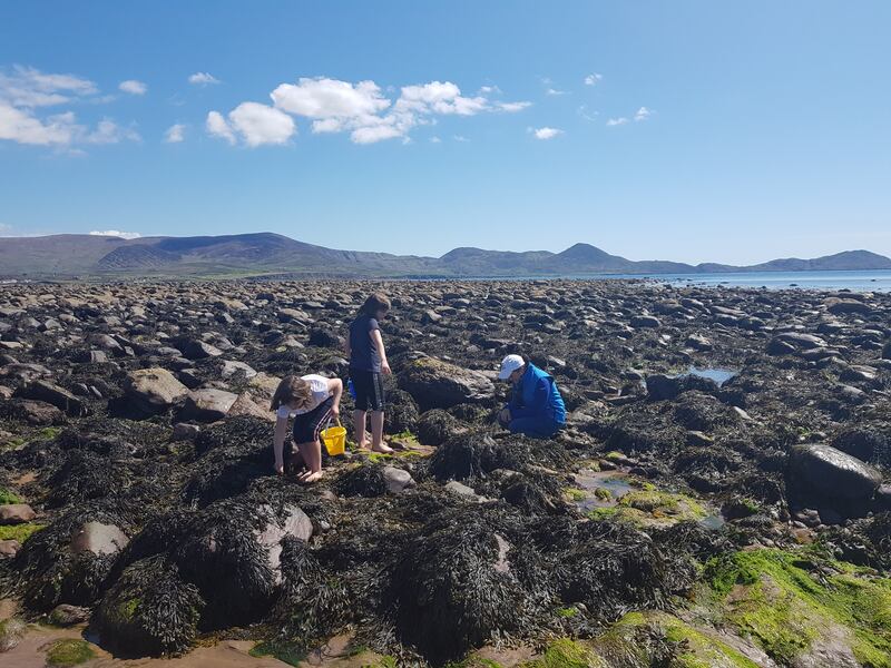 Joya and Priya exploring the Wild Atlantic Way with Lucy Hunt of Sea Synergy