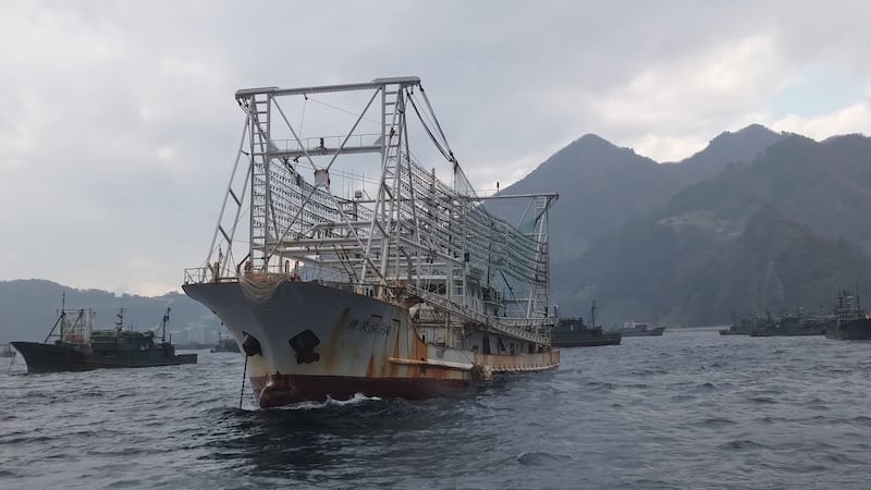 Chinese squid ship located in the port of Ulleung island in South Korean waters. Photograph: Fábio Nascimento