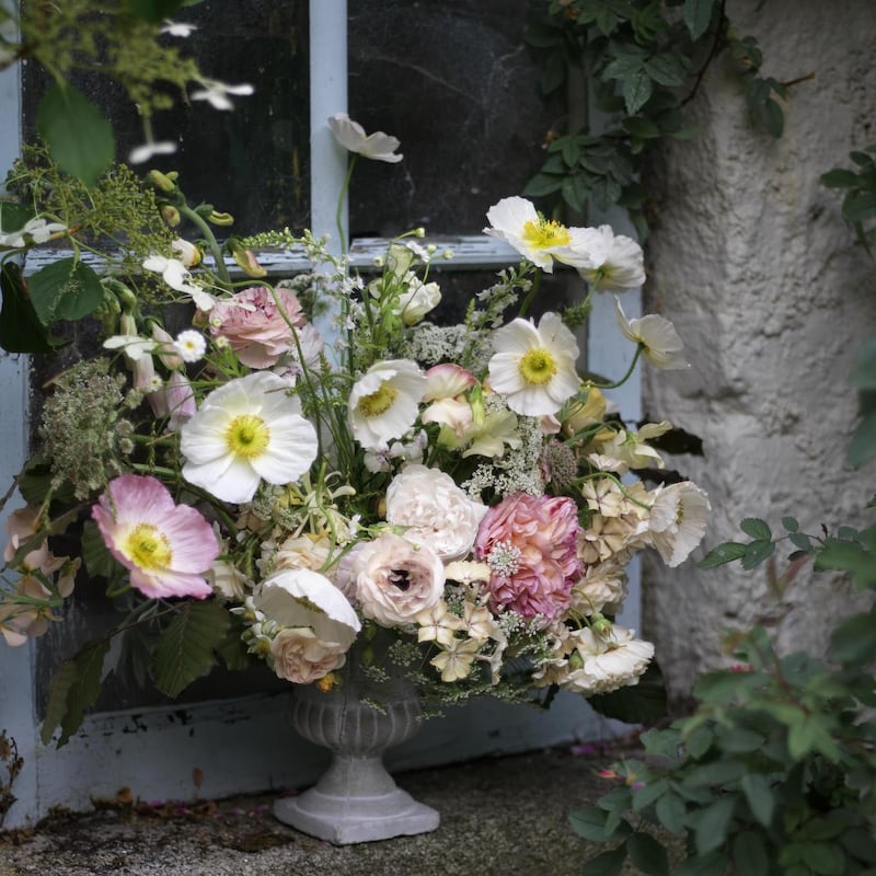 A vase of garden-grown Icelandic poppies . Photograph: Richard Johnston