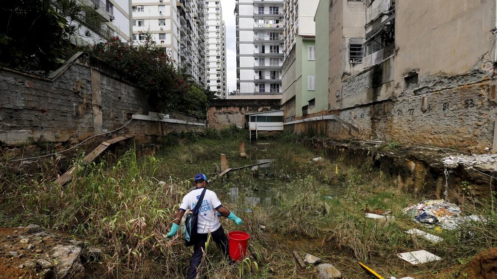 A health agent carries a bucket of guppy fish to place them in standing water to consume larva of Zika-transmitting mosquitoes in Rio de Janeiro’s Tijuca neighbourhood, Brazil. Photograph: Sergio Moraes/Reuters