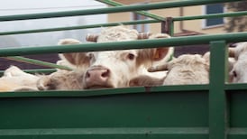 Industry groups unconvinced by UK border proposals