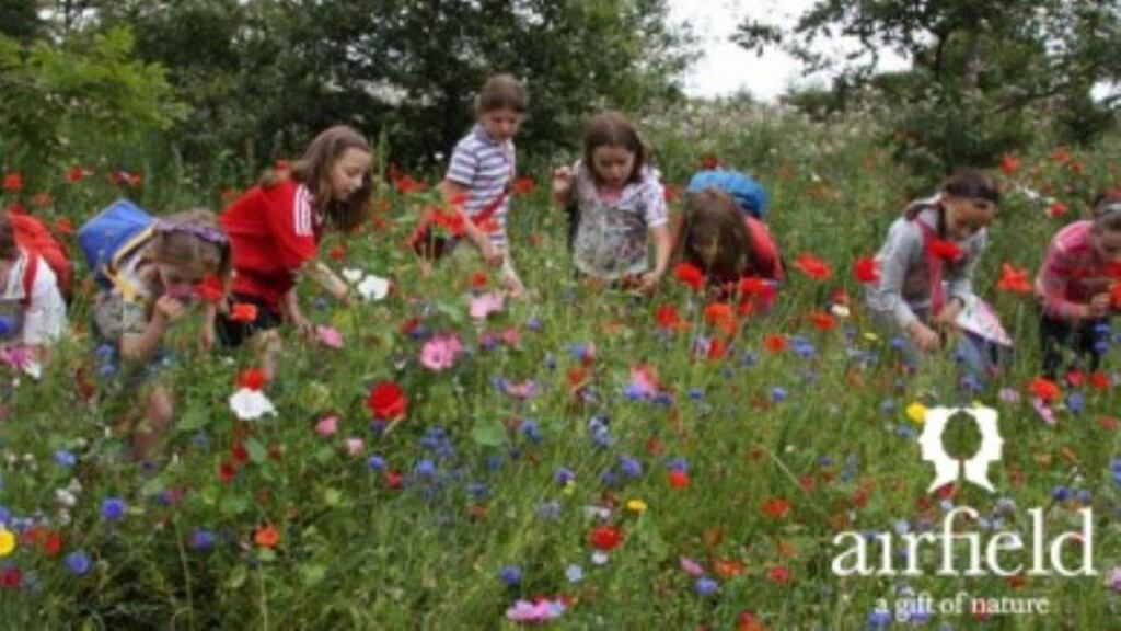 There is lots to explore with the estate’s farmers, guides and gardeners, and plenty of opportunities to get good and muddy on the 38-acre working farm.