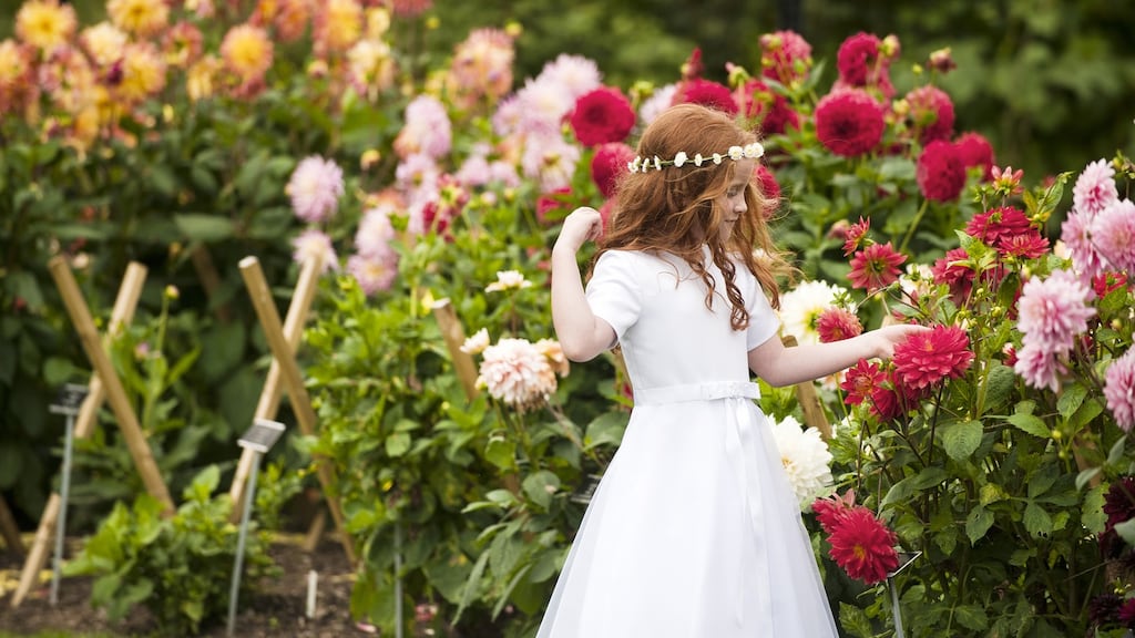 Isabella Suki dress, €187, Arnotts