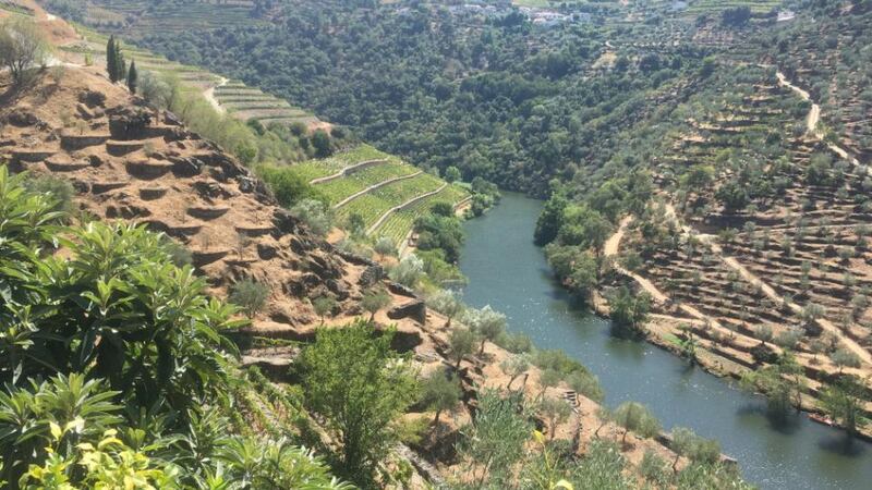 Mas Buscados means most wanted, referring to the three growers who provided the grapes.