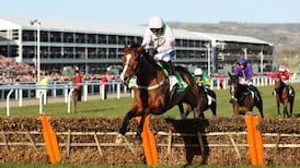 Faugheen crowned champion as Mullins sweeps the boards at Cheltenham