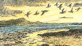 Another Life: Was it for this the wild geese spread the grey wing on every tide?