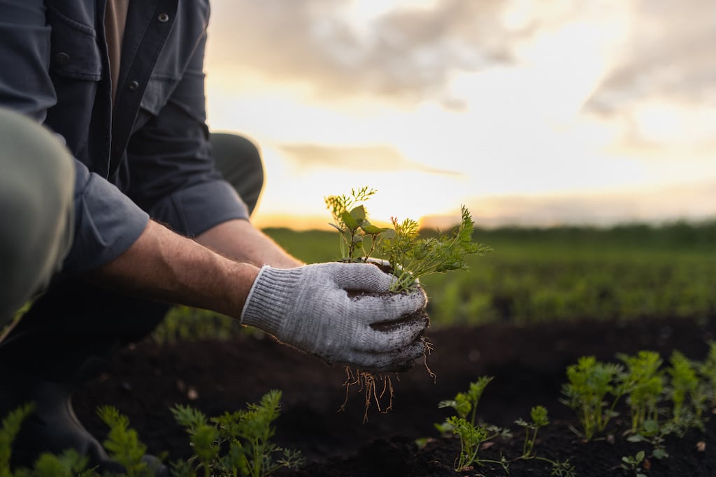 The theme of this year’s AIB Sustainability Conference is ‘where shared ambition meets action’
