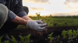 Stellar line-up for this year’s AIB Sustainability Conference