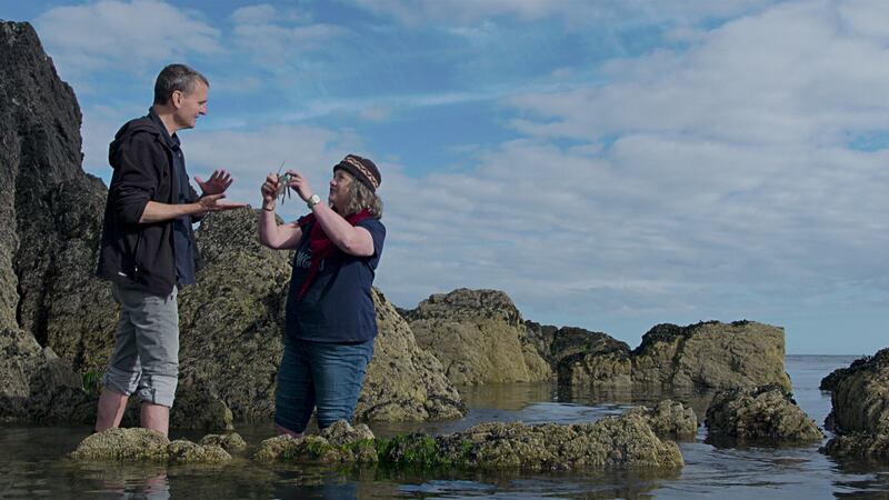 Sally McKenna takes Rosenthal foraging for seaweed