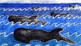 Another Life: Why do whales and dolphins end up stranded on our beaches?