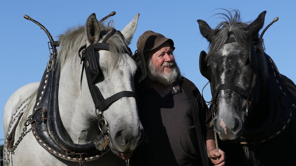 Jerry Wheels from Tralee, Co Kerry, with  horses Larry and Elton, on day one of the National Ploughing Championships in Ballintrane, Fenagh, Co Carlow. Photograph: Nick Bradshaw for The Irish Times