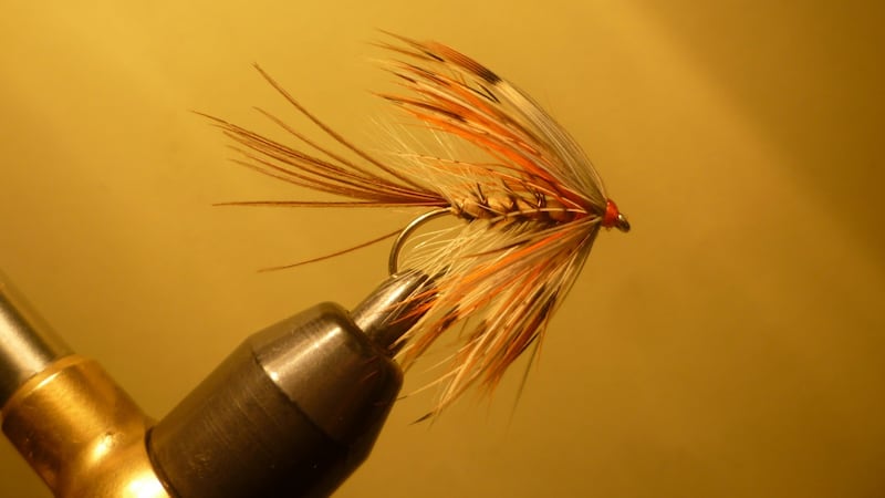 French Partridge Mayfly, tied by Jimmy Tyrrell.