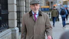 Euro membership not to blame for Ireland’s crisis: Honohan