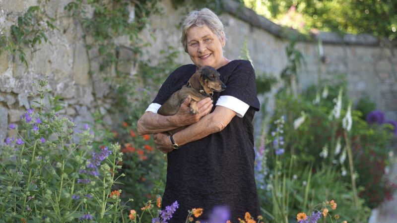 Helen Dillon and her dog Ruby in her garden in Monkstown. Dillon hosts her ultra-popular Garden Lessons series. Photograph: Richard Johnston