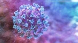 Delta variant as contagious as chickenpox, says US health-protection agency