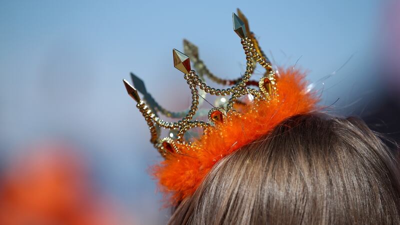 A Netherlands fan during their game against New Zealand. Photograph: Alex Grimm/Getty Images