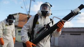 Zika virus Q&A: what we know, what you need to know