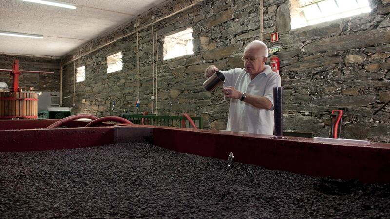 César Sequeira, owner of Quinta de Marrocos