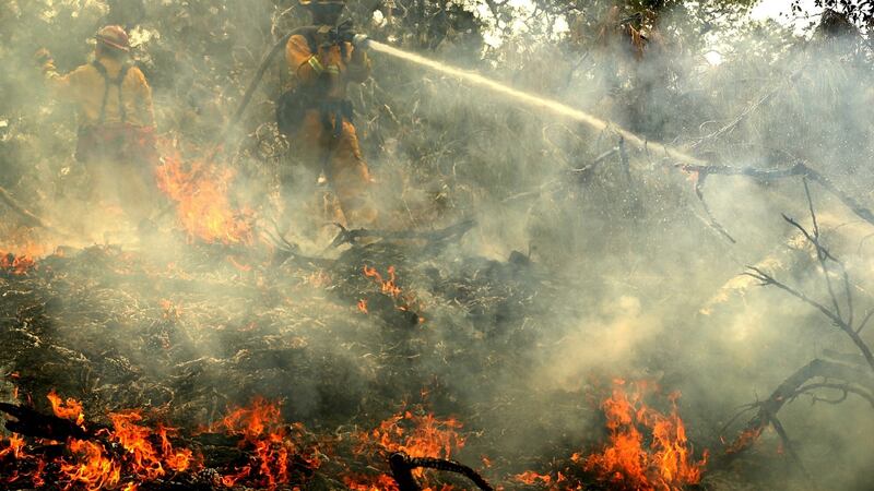 A Cal Fire firefighter mops up hot spots after the fire moved through the area in Redding, California. Photograph: Justin Sullivan/Getty Images