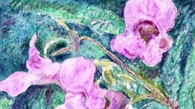 Another Life: The aliens among us – accommodate or eradicate?