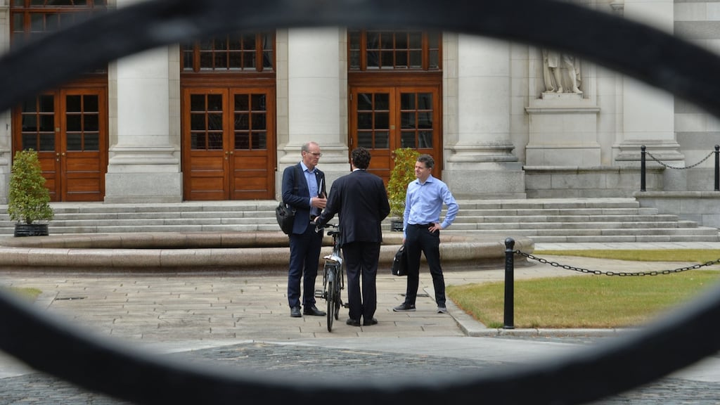 The Greens are not sure whether they are part of the radical side of Irish politics or whether they want to be a special case. Photograph: Alan Betson