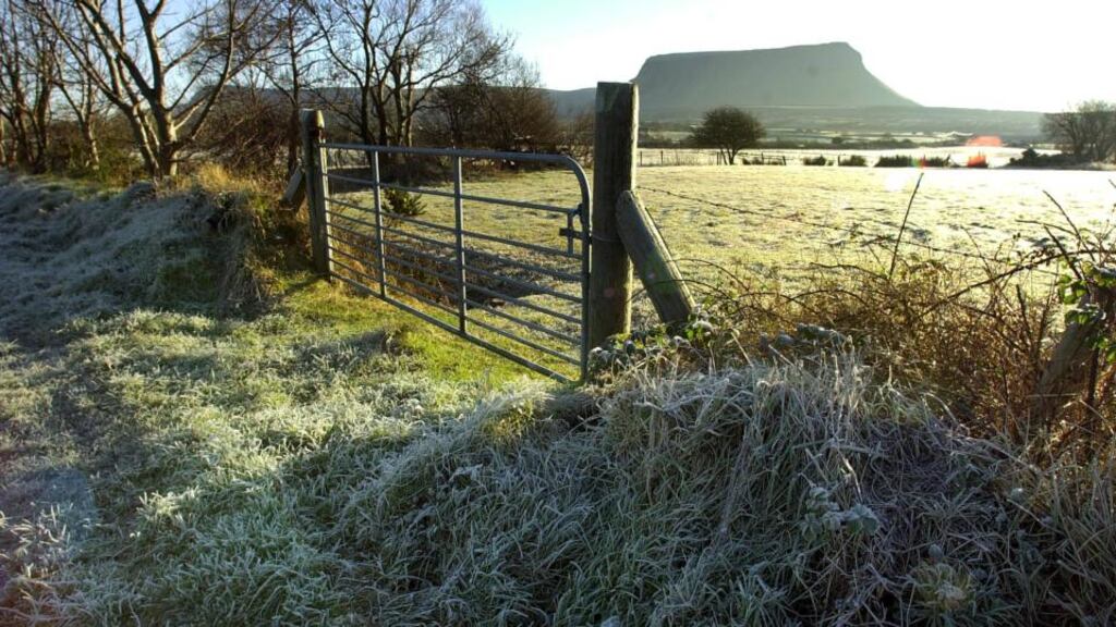 Frost will make a reappearance in rural areas although ice will not be a problem because the ground is still warm after the recent mild weather and glorious summer. Photograph: Eric Luke/The Irish Times