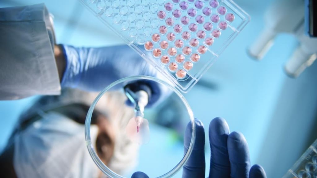 Venn Life Sciences: the Irish company has refocused its strategy. Photograph: Vetta/Getty