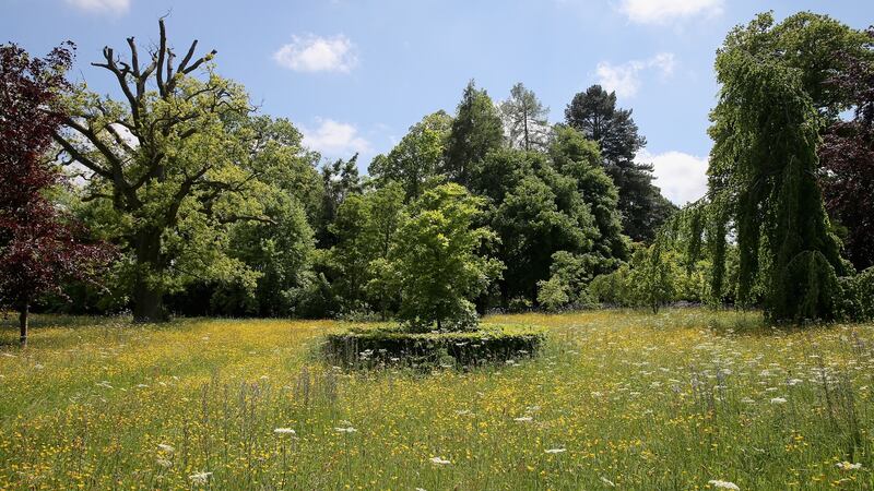 The meadows at Highgrove in Tetbury, England