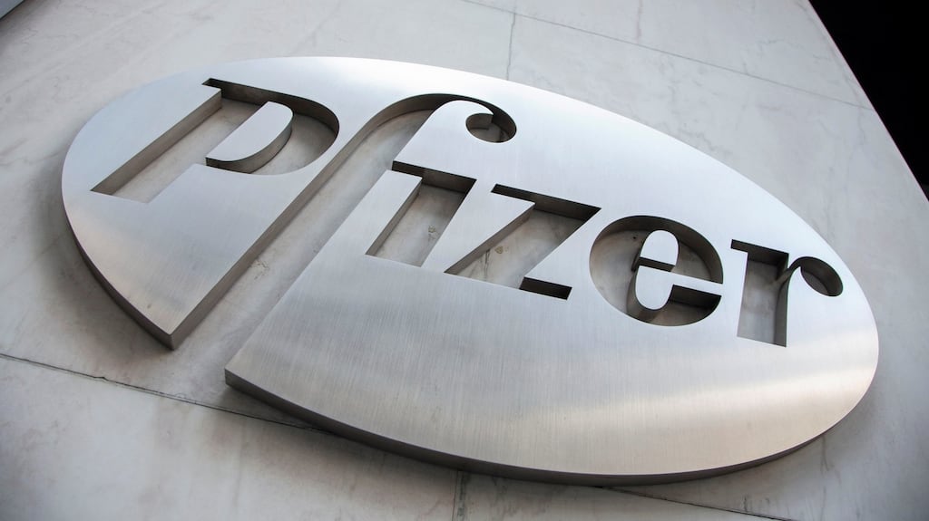 Pfizer said it expected to generate adjusted earnings of between $2.90 and $3 a share this year, compared with the consensus forecast of $2.78. Photograph: Andrew Kelly/Reuters