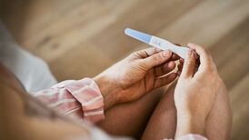 Slight decrease in the number of abortions carried out in Ireland last year, report shows