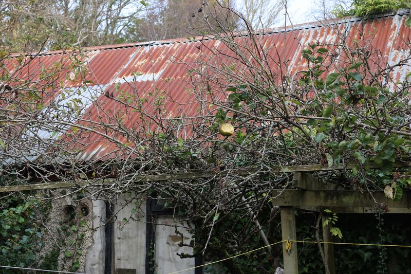 The design for the barn has a run of roofs at different heights. Photograph: Dara Mac Dónaill