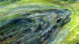 Michael Viney: how trout disappeared from my favourite river