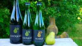 Whole fruit cider: ‘It’s the wine of Ireland’