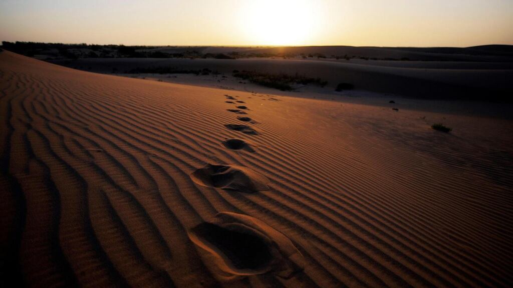 The sun sets on an area of desert on the outskirts of Minqin town, in Gansu province, China. Photograph: Carlos Barria/Reuters