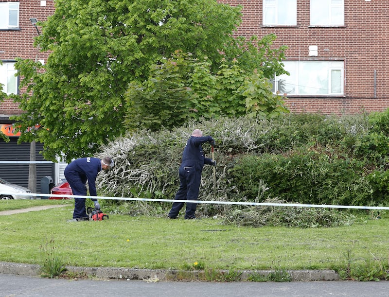Gardaí search the scene on La Touche Road in Bluebell, Dublin. Photograph: Gareth Chaney/Collins Photos